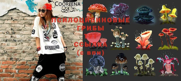дурь Вязьма