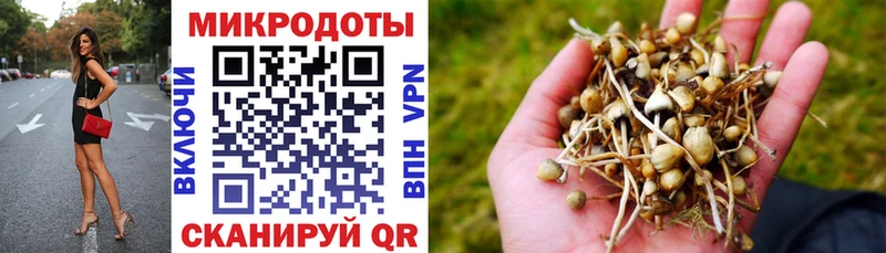 Галлюциногенные грибы Psilocybine cubensis  Купить где  Покров 